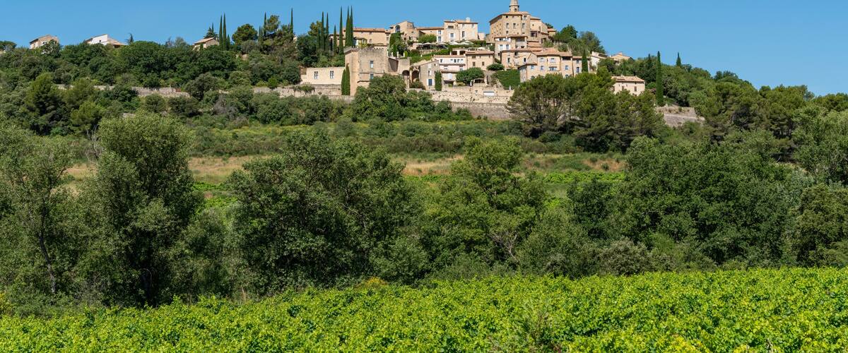 A hillside village with terraced houses and vineyards.