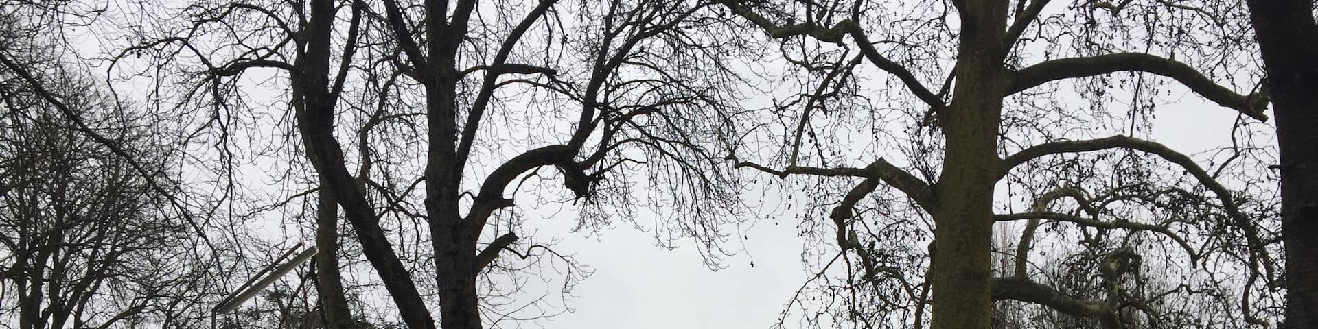 Not in Thailand nor Myanmar.. Yes, Bhuddist temple in đ«đ· France.. đđ