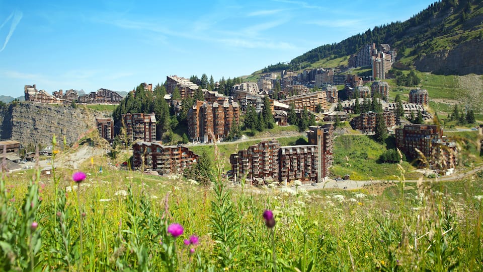 A mountainous town with residential buildings and a lush green landscape.