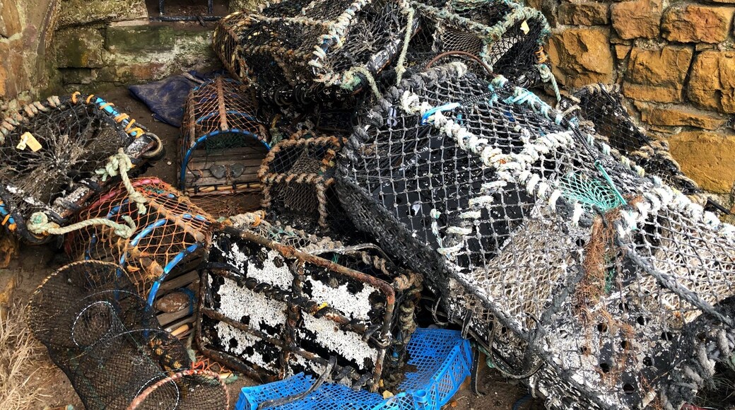 Lobster and crab pots at Beadnell Lime Kilns.
This is a small local fishing harbour on the Northumbrian coast