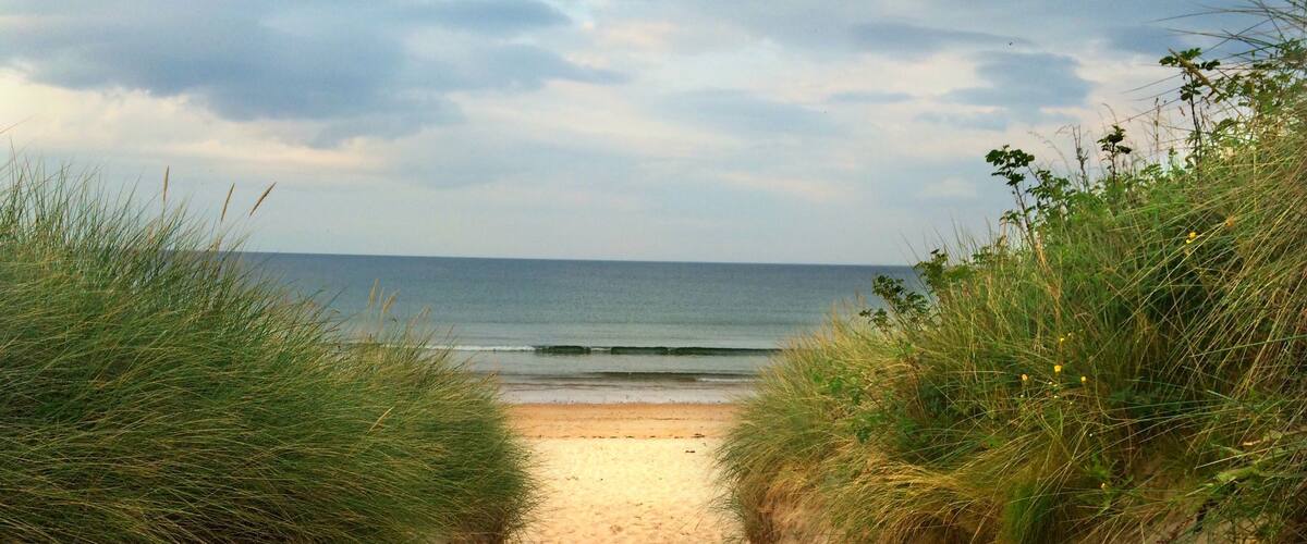 A little walk from a hidden carpark. A family favourite beach undisturbed. Along the beach is a unique wild bird sanctuary