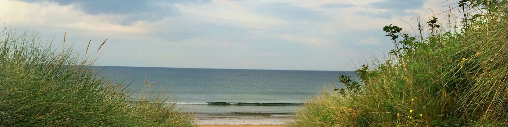 A little walk from a hidden carpark. A family favourite beach undisturbed. Along the beach is a unique wild bird sanctuary
