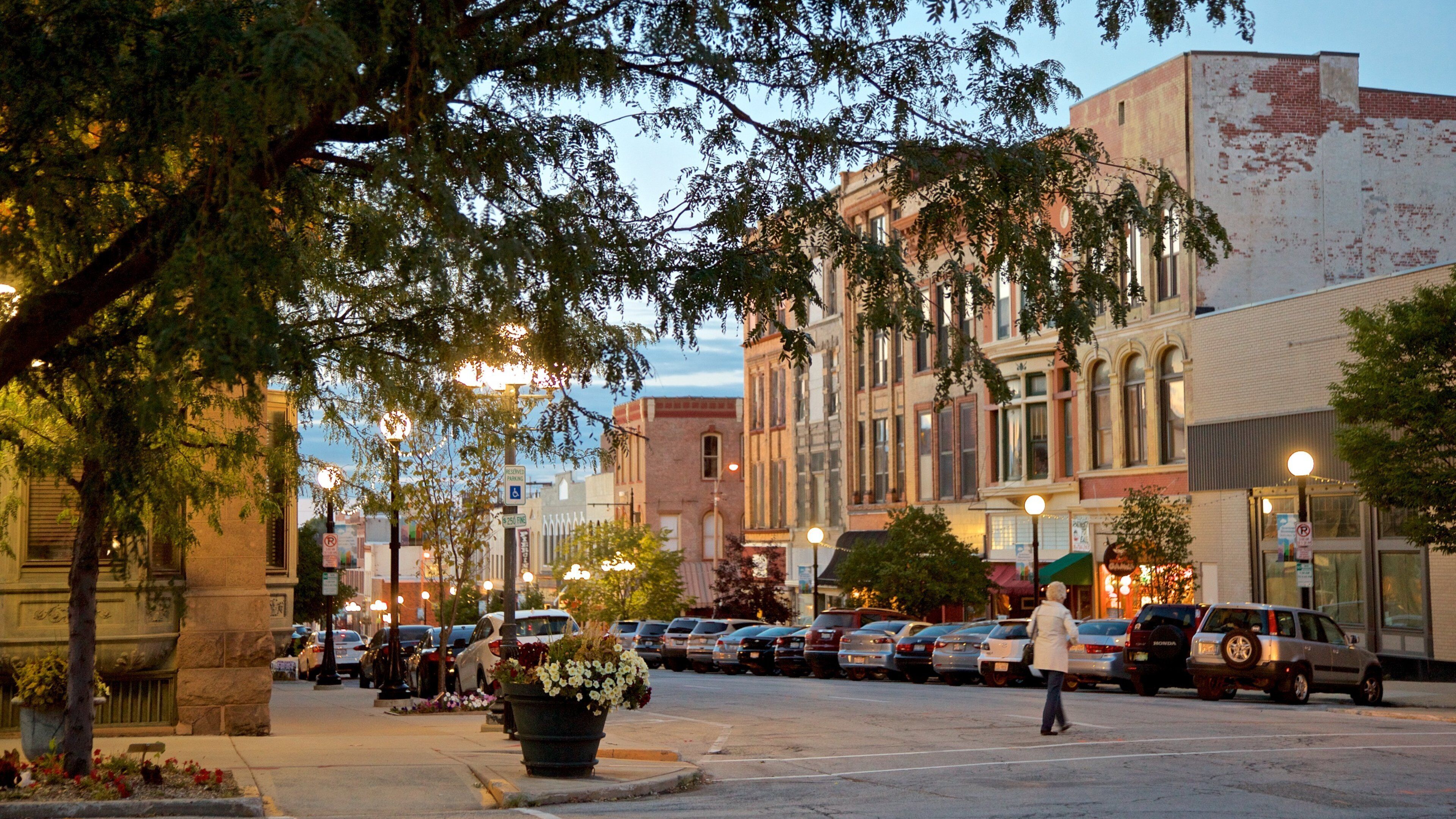 Bloomington which includes night scenes