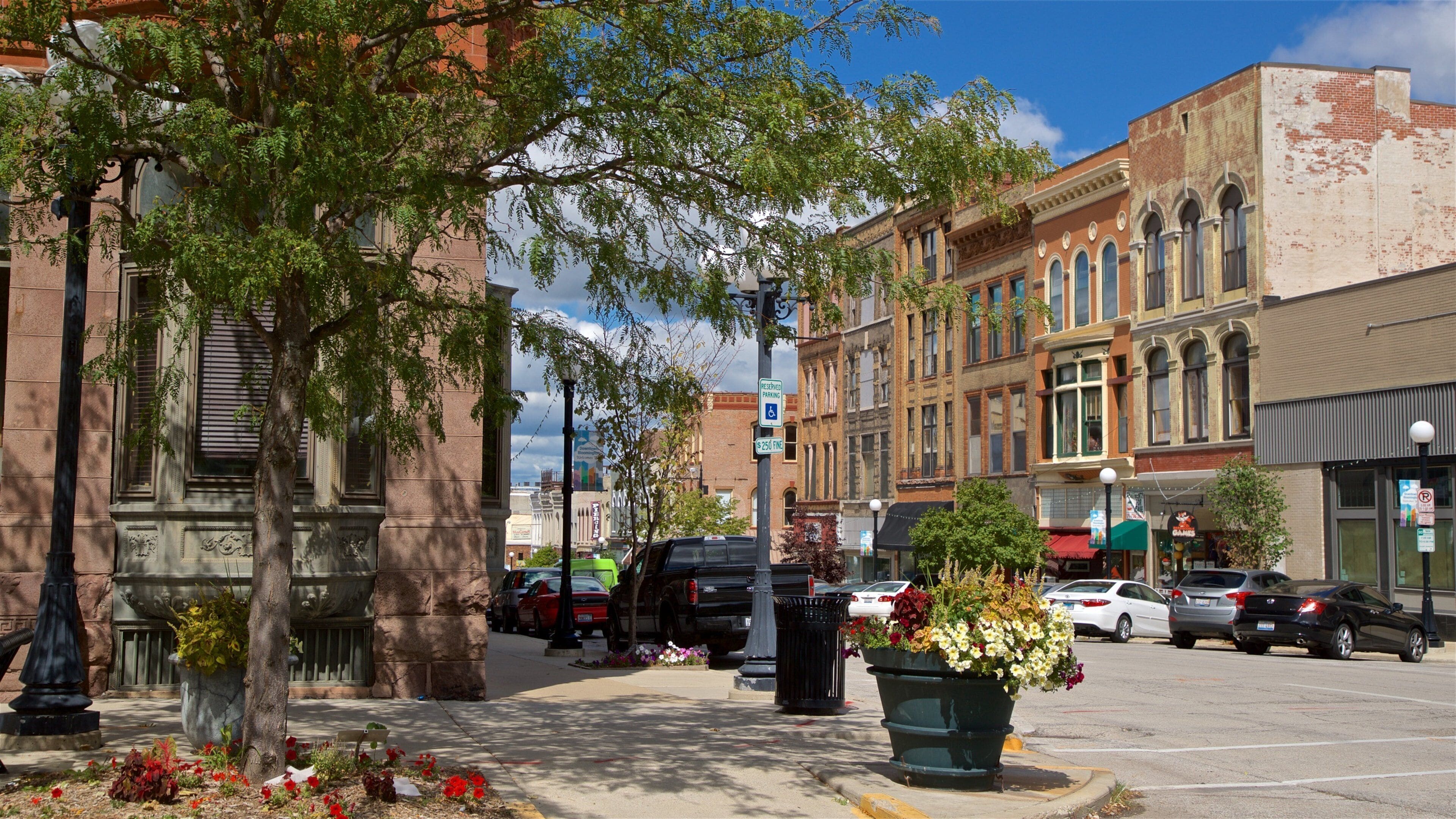 Bloomington which includes flowers