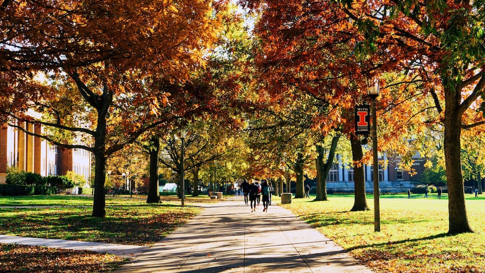 A tree-lined pathway with autumn foliage, a lamppost, and a building in the background.