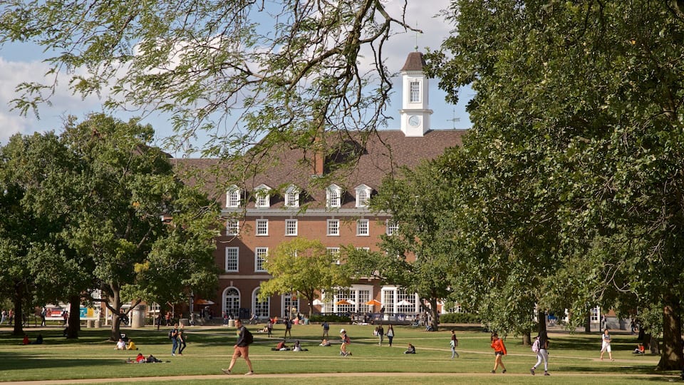 A park with people walking and sitting on the grass, a large building with a clock tower in the background, and trees framing the scene.