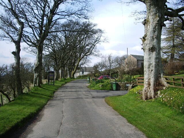 A narrow rural road flanked by trees and a grassy verge.