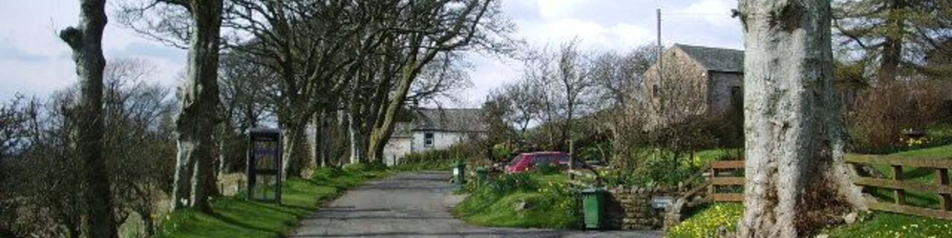 A narrow rural road flanked by trees and a grassy verge.