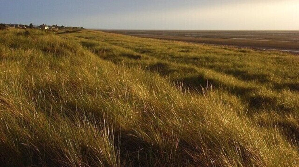 Wolsty Bank These grassy dunes are a nature reserve. A few houses in Beckfoot are visible beyond.