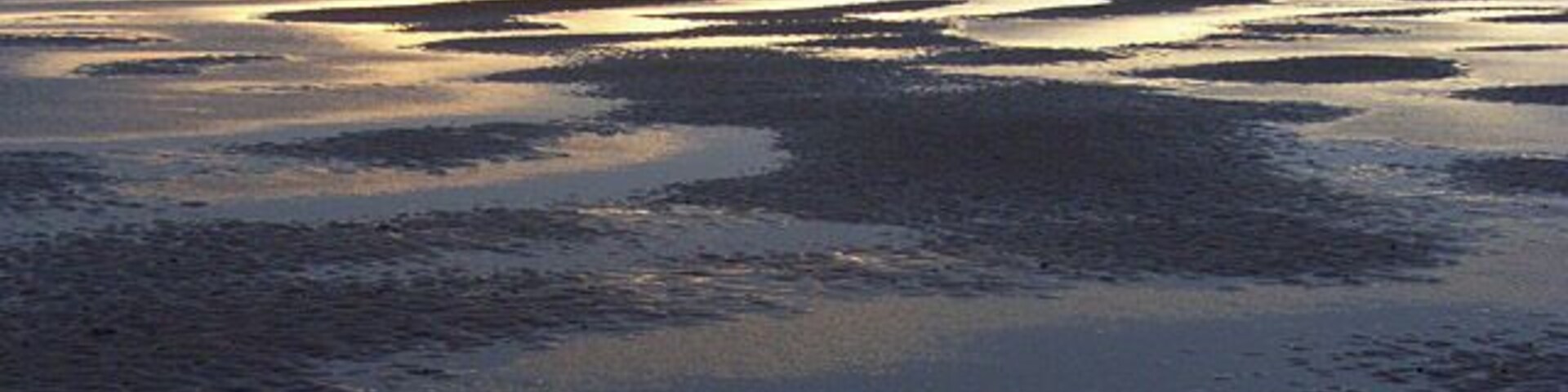 Wet sands of the Solway Firth The land in the background is in Kirkcudbrightshire. The picture was taken at low tide.