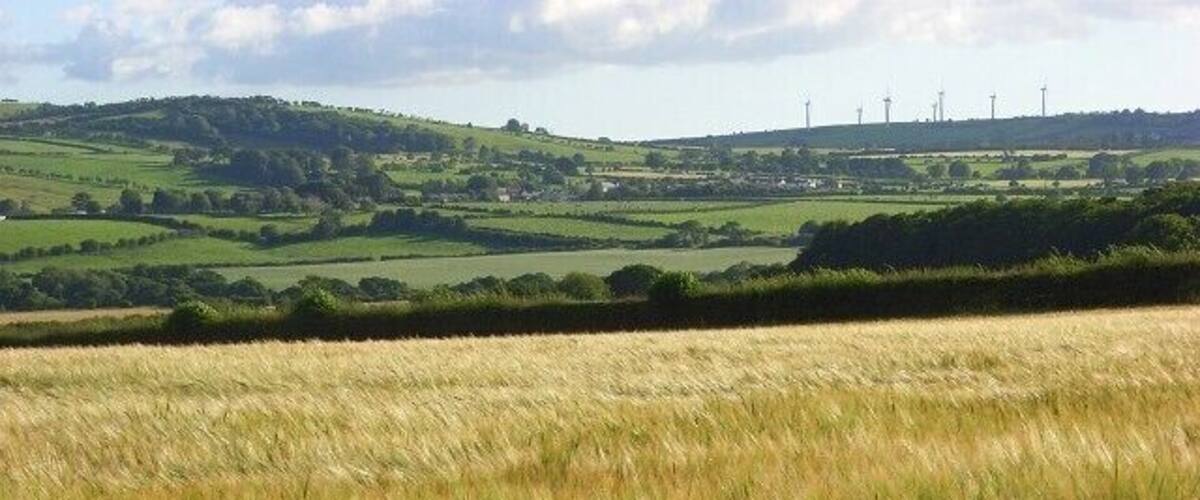 A wheat field with rolling hills and wind turbines in the background.
