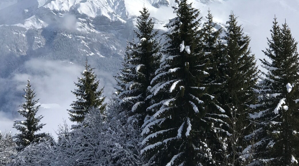 View from the chalet