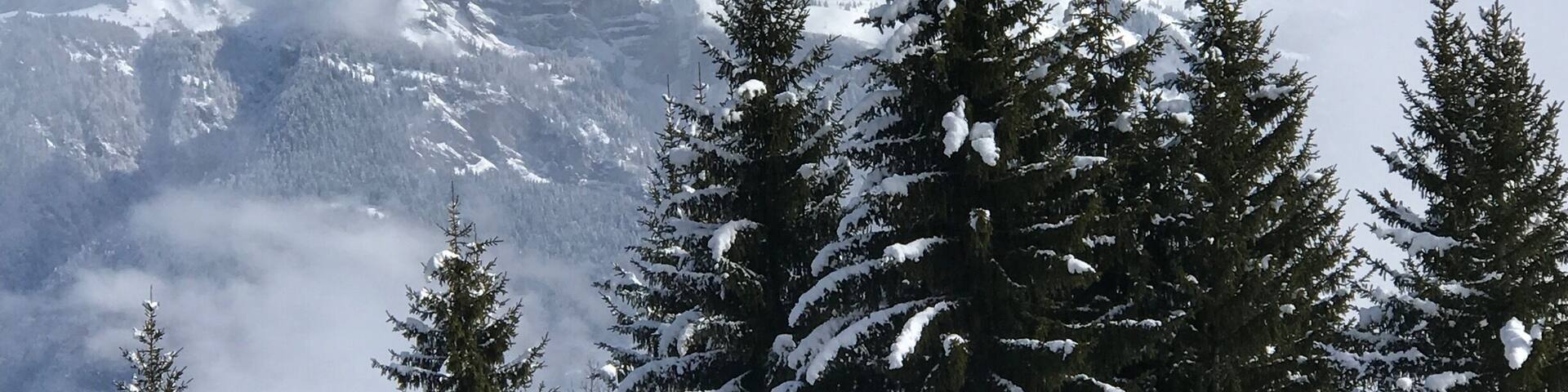 View from the chalet