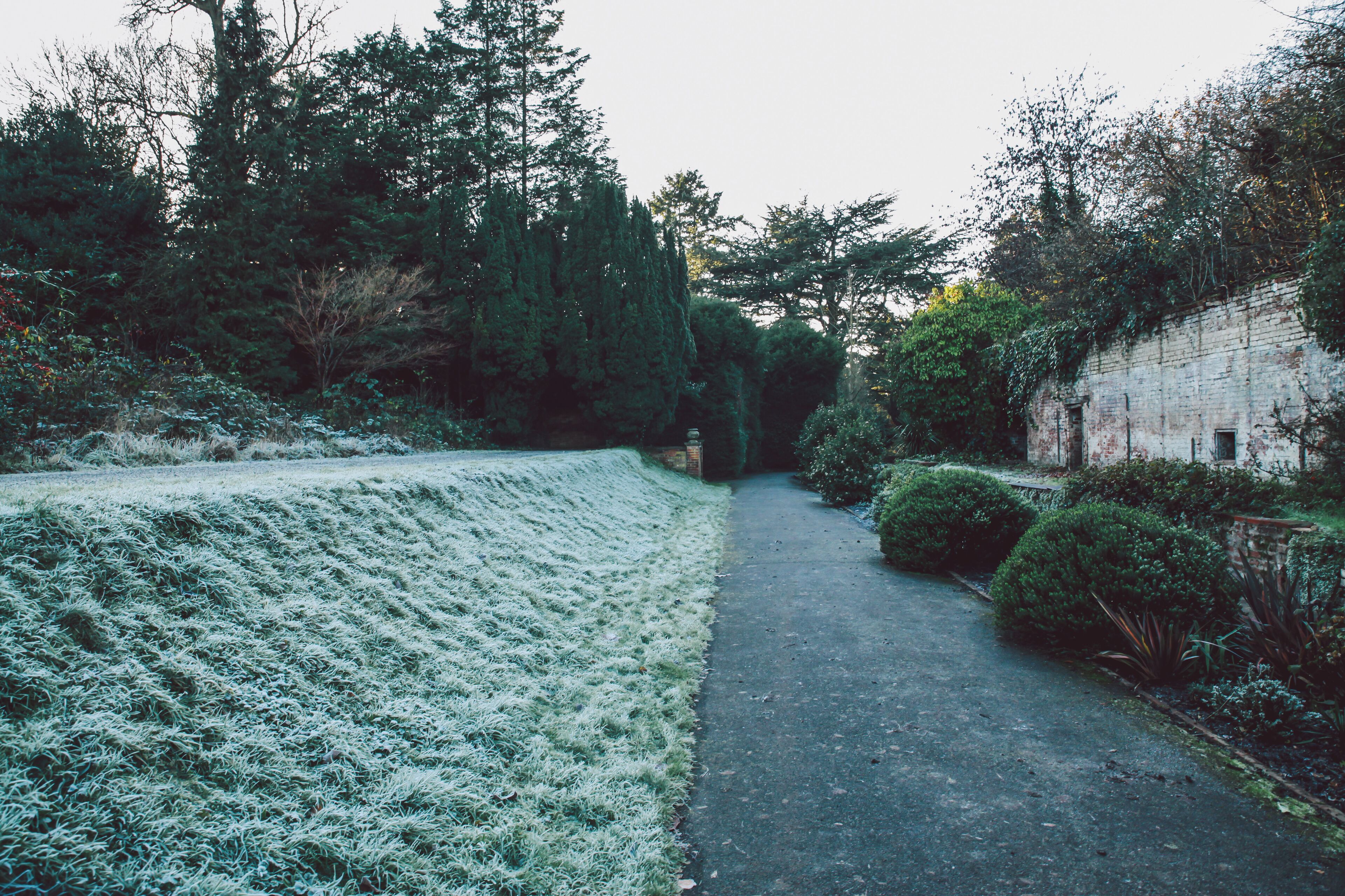 Nonsuch Park - Surrey - December 2014