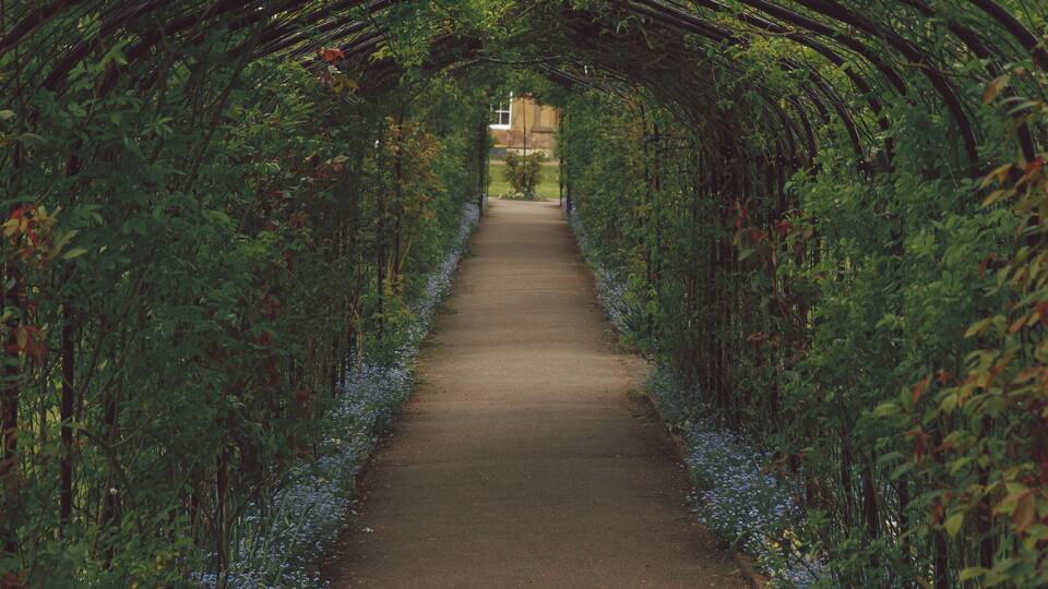 A pathway through a garden with a tunnel of greenery overhead.