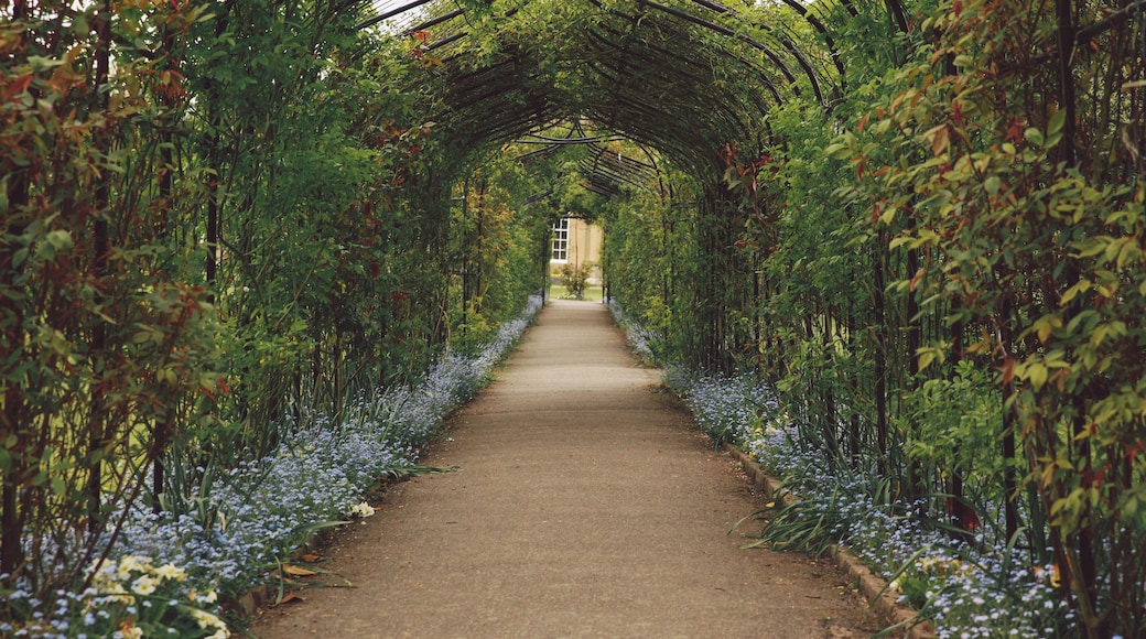 Nonsuch Park- Surrey - April 2014