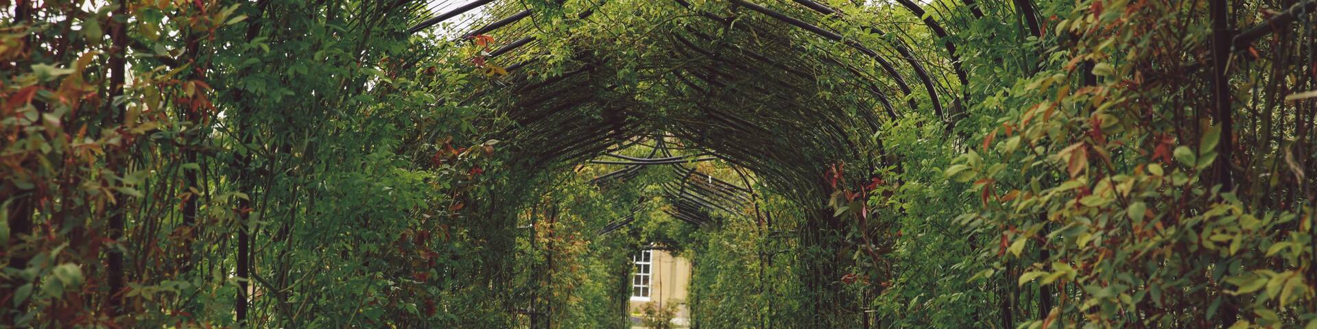 Nonsuch Park- Surrey - April 2014