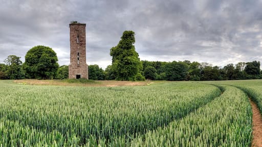 Watertower, Luffness