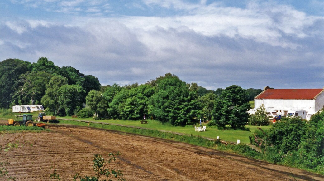 Aberlady station site/remains. View westward, towards Longniddry and Edinburgh: ex-NBR Longniddry (Aberlady Junction) - Gullane branch, which closed to passengers from 12/9/32 but remained open for goods until 15/6/64.