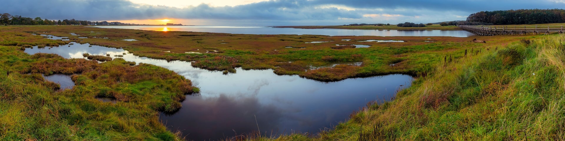 A marshland with water bodies and a sunset in the background.