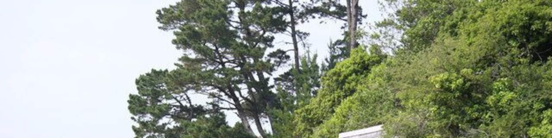 A coastal landscape with a stone wall, a white building, and a large tree.