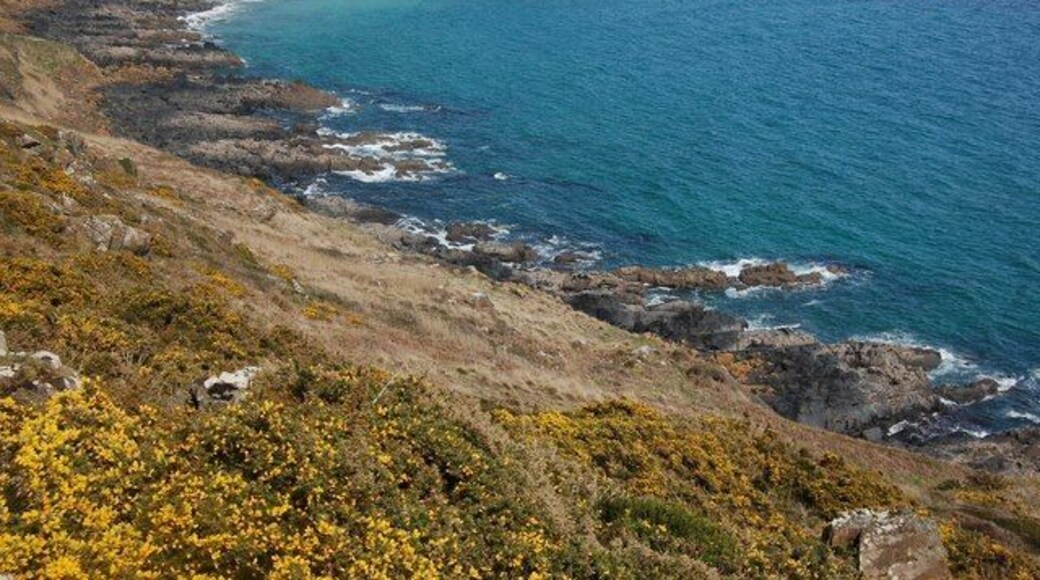 Chynhalls Cliff A few yards off the coast path takes you into this square, on Chynhalls Cliff above Ebber Rocks.