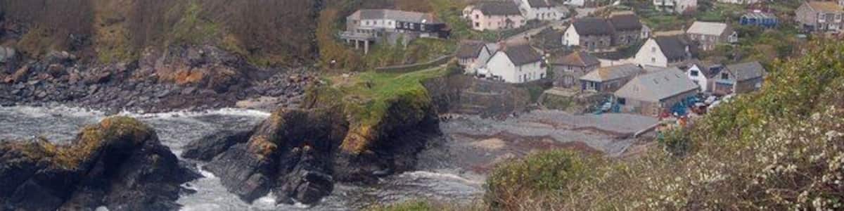 Cadgwith A view of Cadgwith from the coastal path.