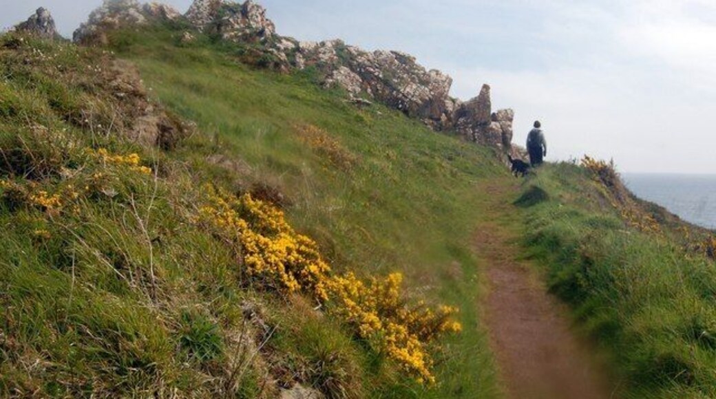 On Chynhalls Point Taken inside the promontory fort on Chynhalls Point.