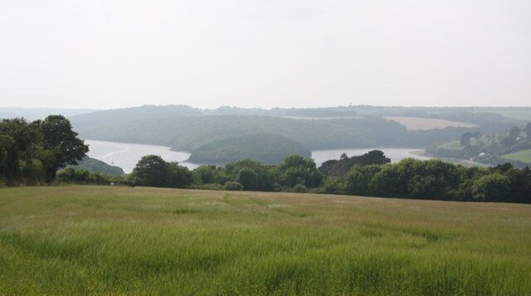 Groyne Point, Helford River Groyne Point in the middle, the main Helford River to the left, and Polwheveral Creek to the right. Unfortunately one would need to be about 20 feet tall to see the seaward end of Groyne Point.