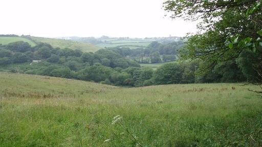 Stream valley at Wheal Fortune. Disused mine in the valley; Sithney church behind.