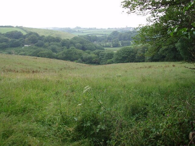 A grassy field with rolling hills and dense trees in the background.