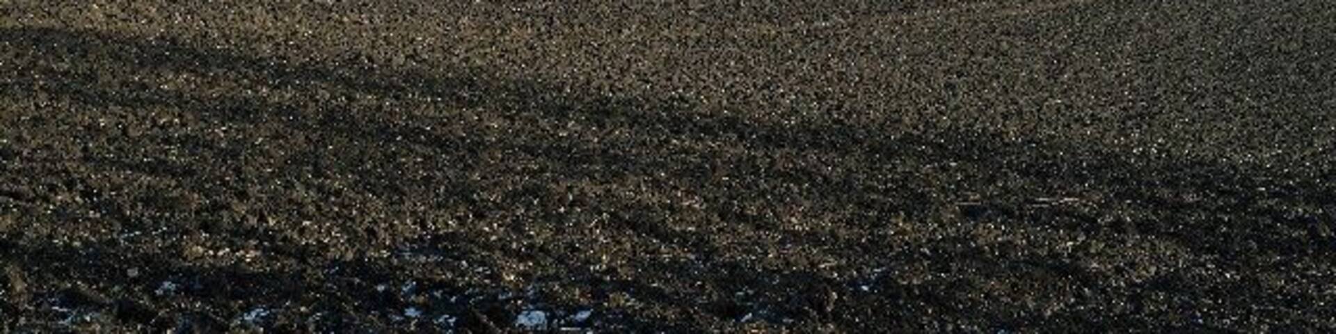 Ploughed field. Freshly ploughed field with polythene greenhouses in the adjacent field and the Lakeland fells in the background.