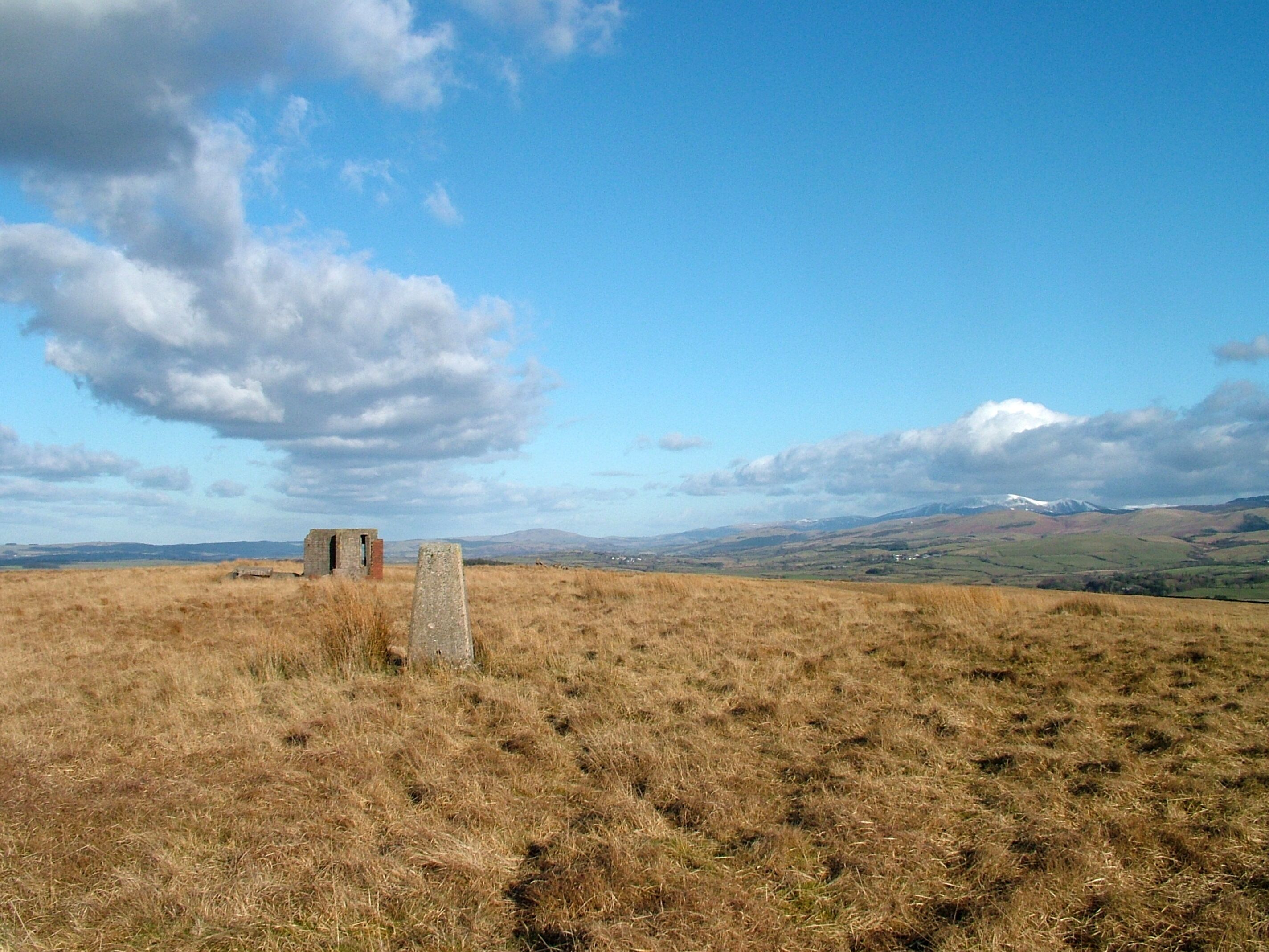 Trig pillar, High Park
