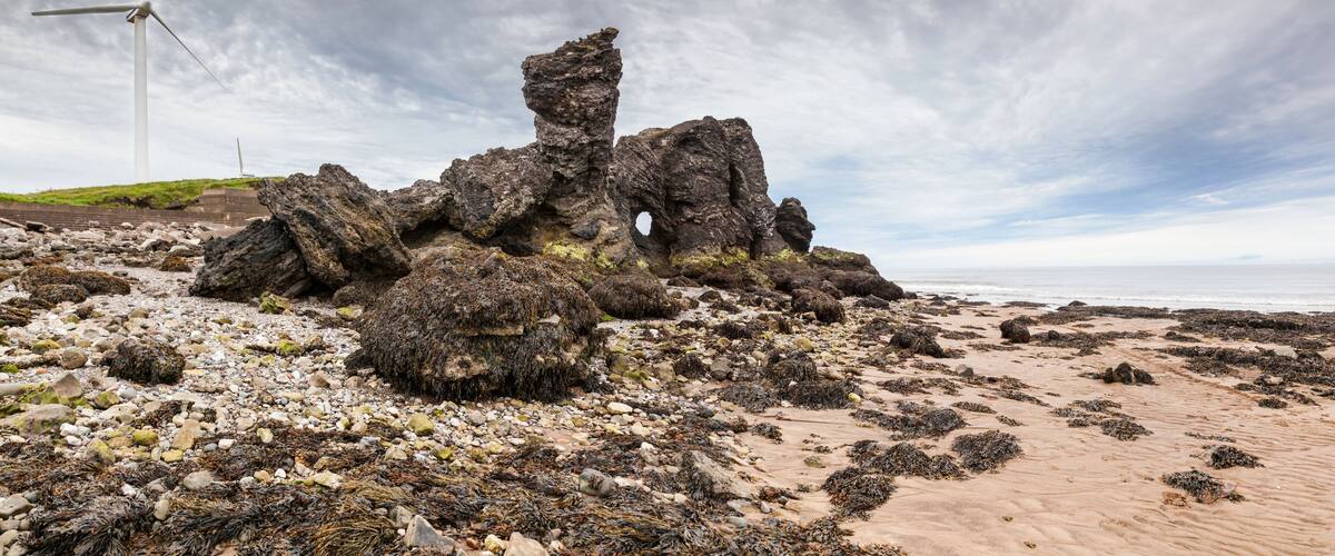 A rocky coastline with wind turbines in the background.