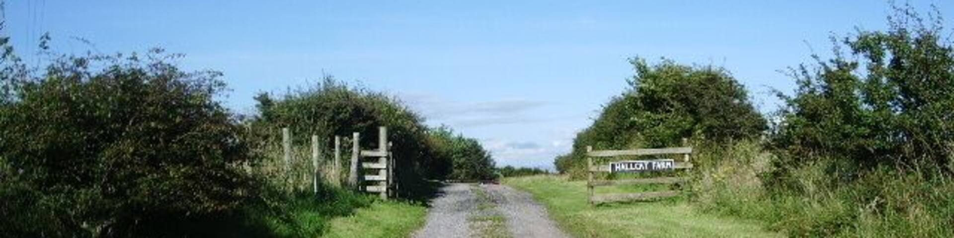 The road to Hallcat Farm