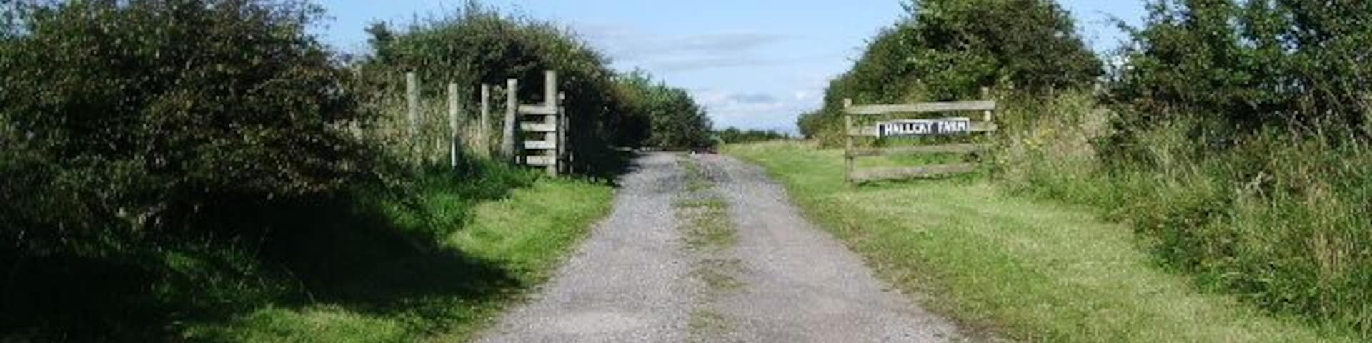 The road to Hallcat Farm