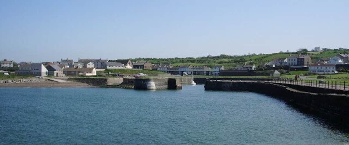 A calm waterfront with a bridge, houses, and greenery in the background.