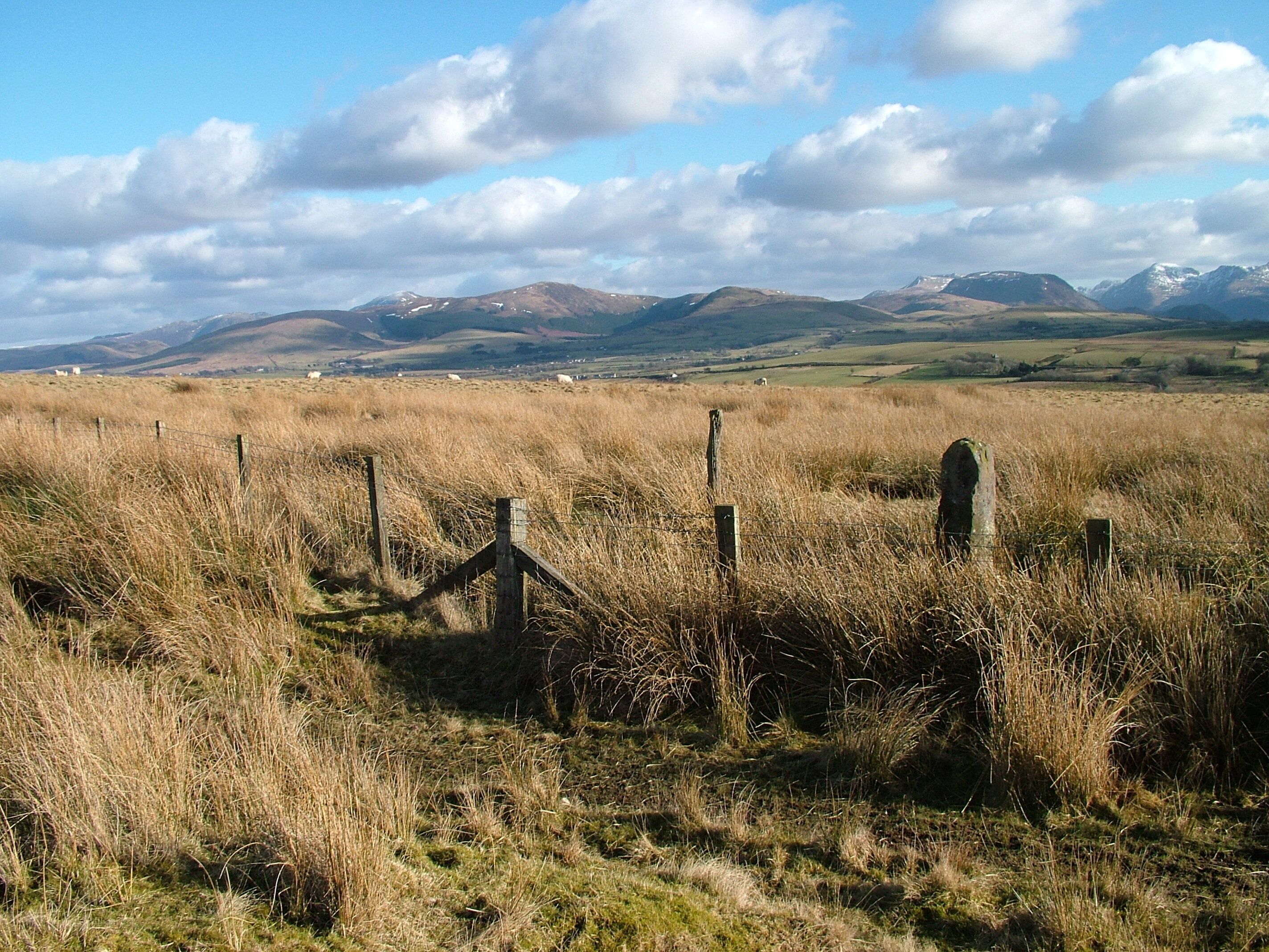 Fence on High Park, near to Arlecdon, Cumbria, Great Britain. This side of the fence is access land, I think, as there are no signs.