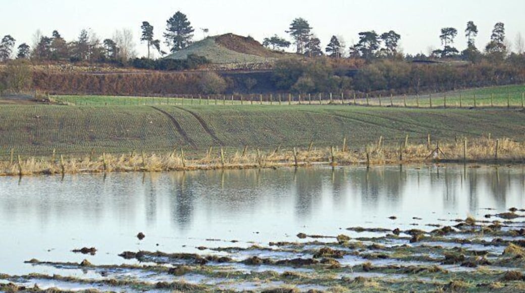 Mottray in flood Looking across the flooded Mottray towards St Michaels.