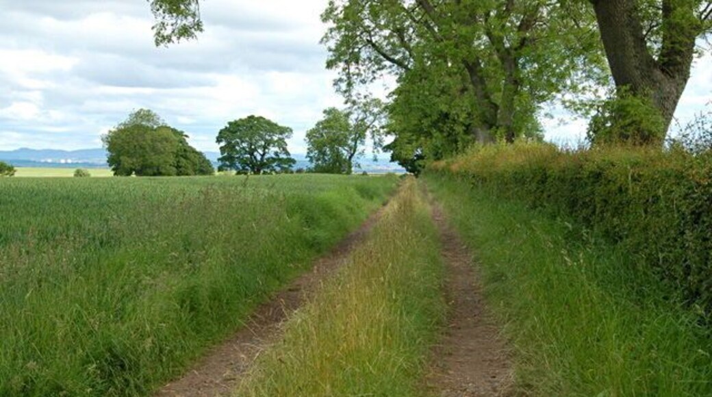 Track near Balone Short farm track to fields to the NW of Balone
