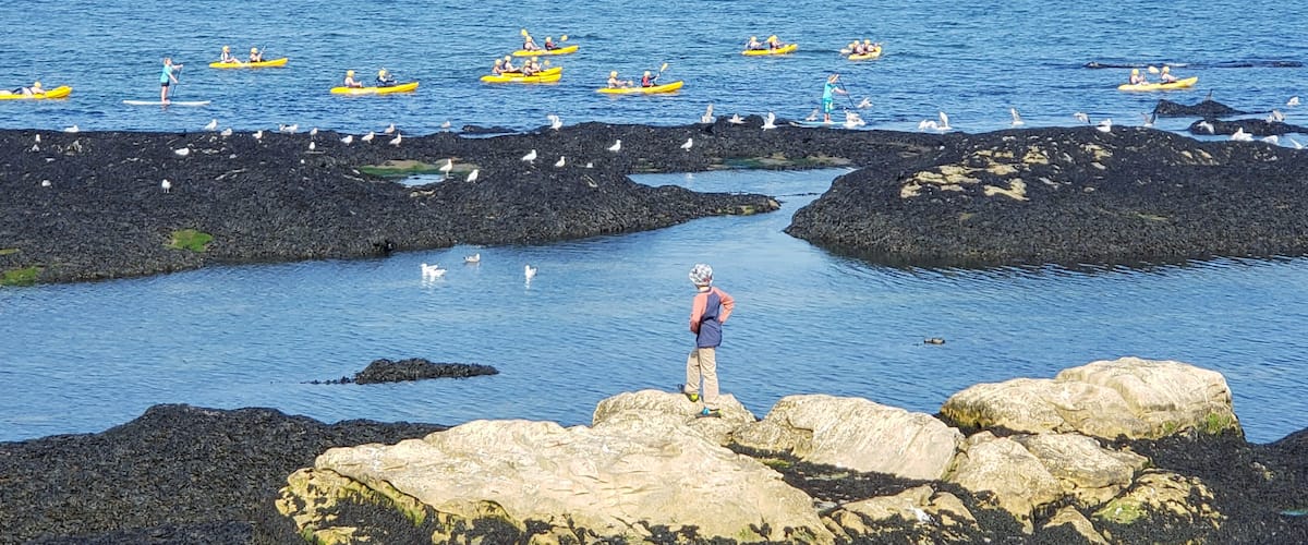 My son in the foreground watching the kayakers paddle out to sea.
#adventure #Scotland