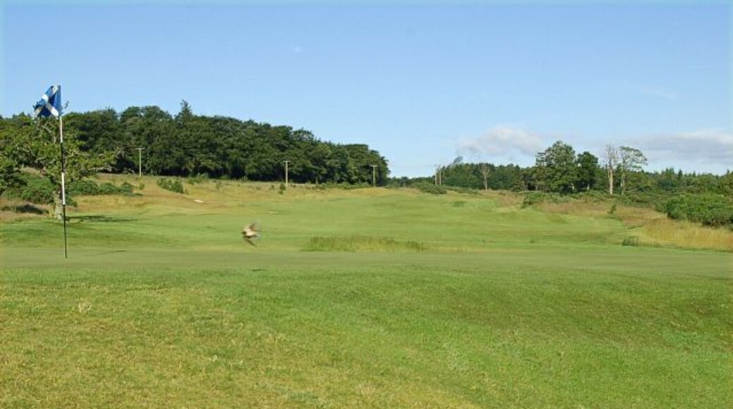 Craigtoun golf course Fairway out near Feddinch Mains.