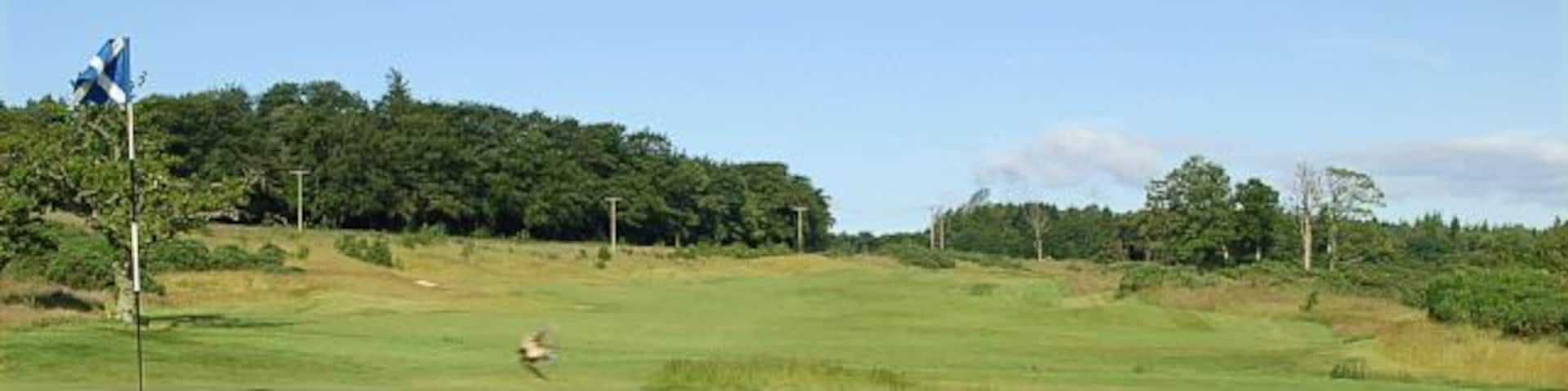 Craigtoun golf course Fairway out near Feddinch Mains.