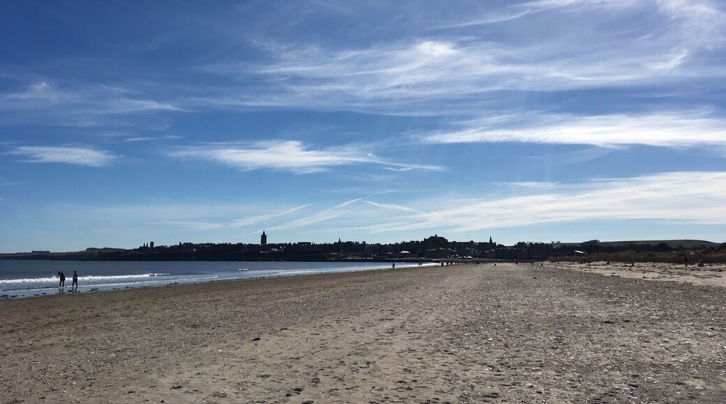 West Sands Beach in St Andrews. A lovely beach situated right next to the golf course. It also has free parking so you can park on the grass, have a walk on the beach and then come back to the grass for a picnic 😊