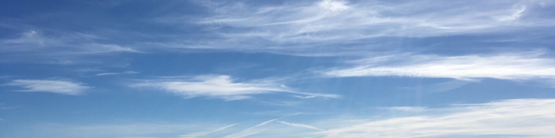 West Sands Beach in St Andrews. A lovely beach situated right next to the golf course. It also has free parking so you can park on the grass, have a walk on the beach and then come back to the grass for a picnic 😊