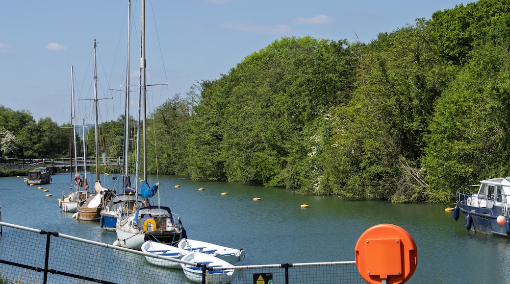 ลิดนีย์