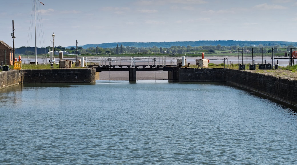 ลิดนีย์