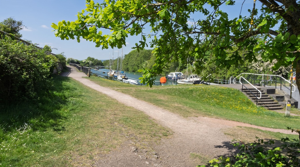 ลิดนีย์