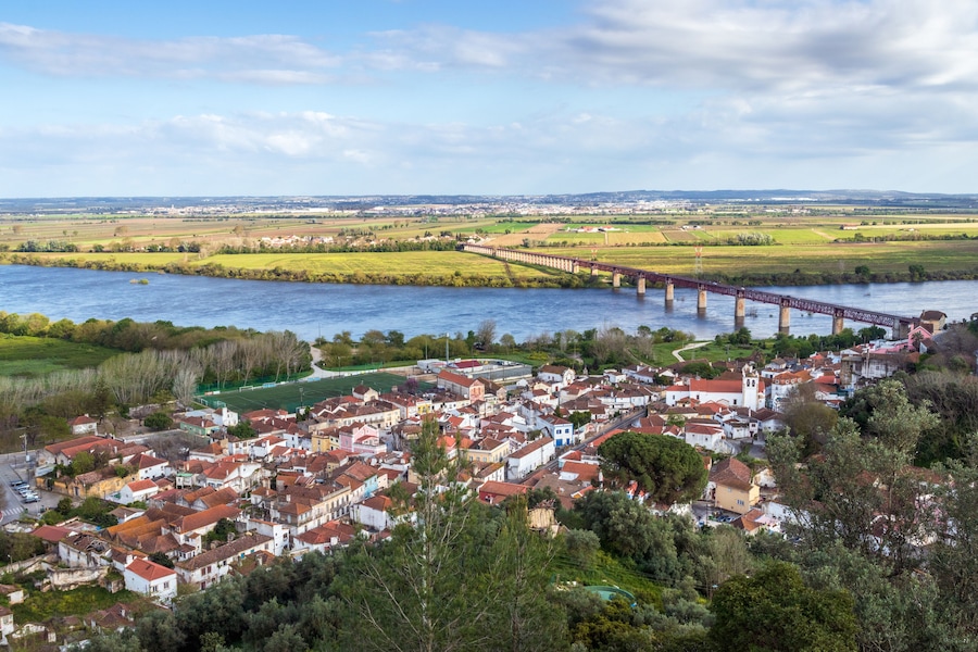 A river with a bridge, a town with red-roofed buildings, and green fields in the background.