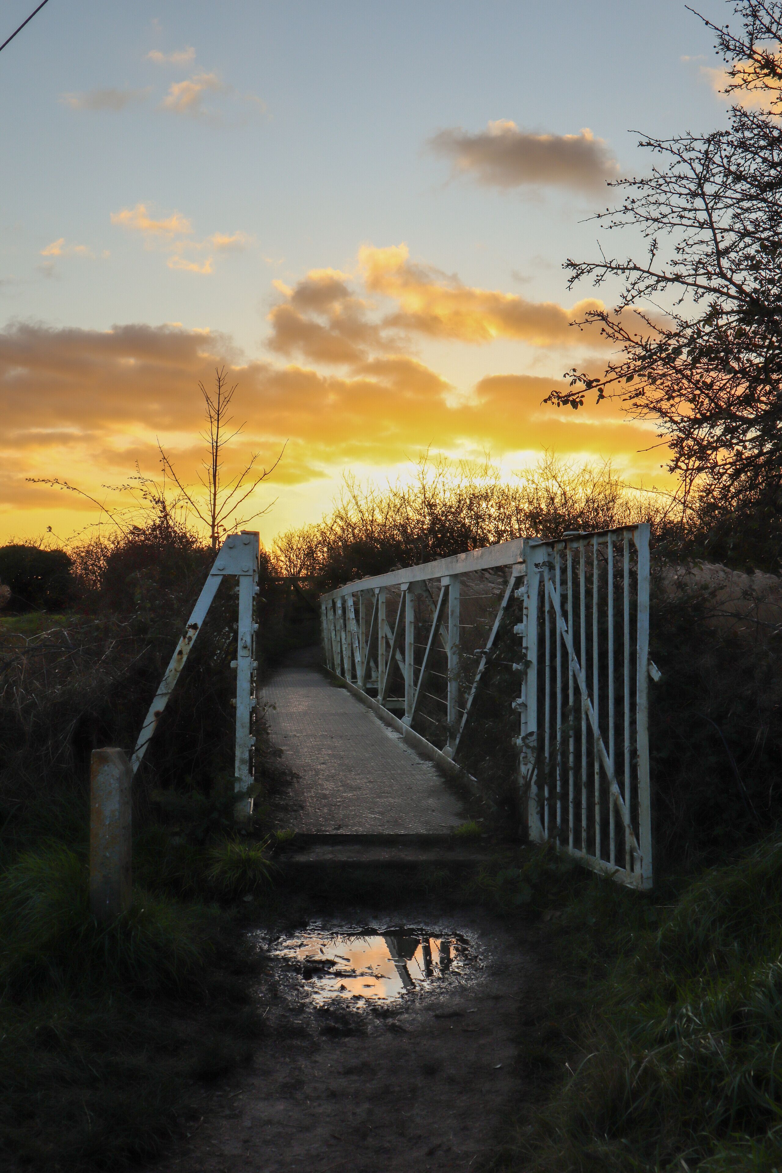 Sunsets are an easy time to take photos